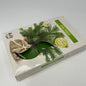 Vela tealihht fir tree